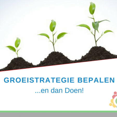 Hoe Bepaal Ik Mijn Groeistrategie? 4 Tips - Rebel Opleiding En Advies